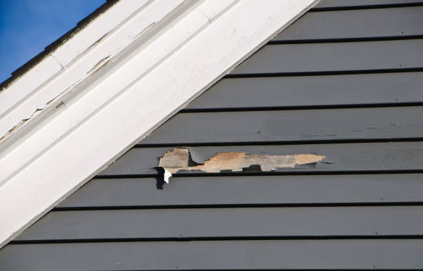 Best Construction Debris Removal  in Matamoras, PA